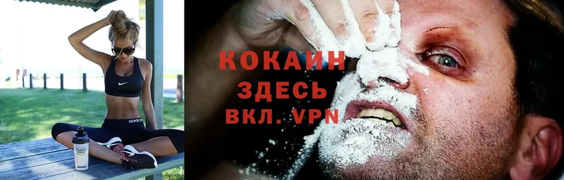 как найти   Анива  Cocaine 98% 